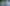 Blauwvleugelsprinkhaan