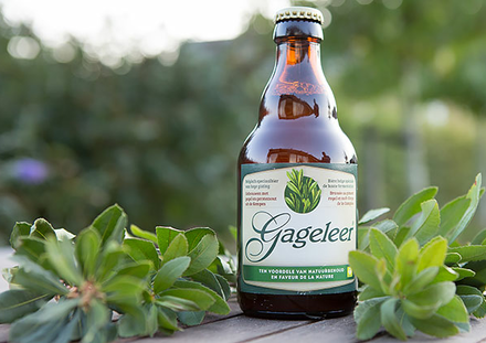 Gageleer.jpg