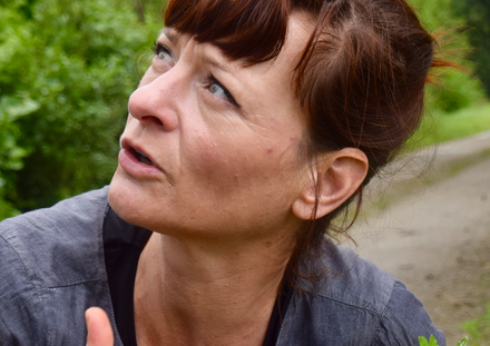 Workshop wildplukken