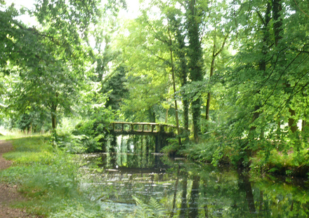 Pont