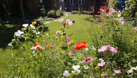 5 lentetips voor een gezonde tuin
