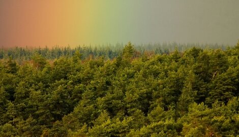 8 goede en groene voornemens voor 2021