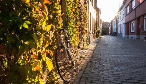 Tien tips om natuurinclusief te (ver-)bouwen