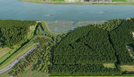 Hoe wordt de natuur beschermd vóór en tijdens de Oosterweelwerken?
