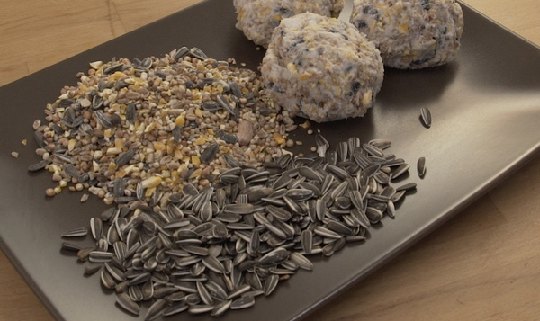 Een maaltijd voor tuinvogels