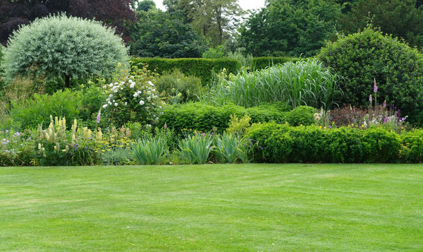Een must in je wilde tuin