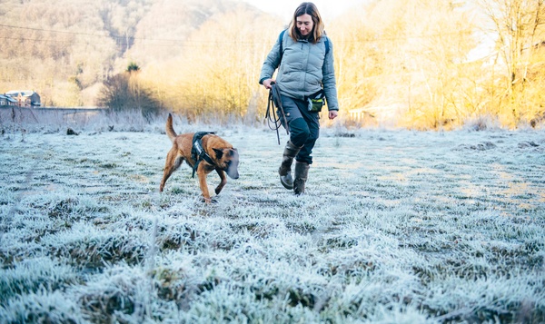 Opsporing verzocht: hoe een hond naar otters speurt