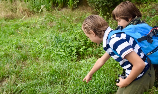 Boek: Op safari in eigen land (Martijn Wauters)