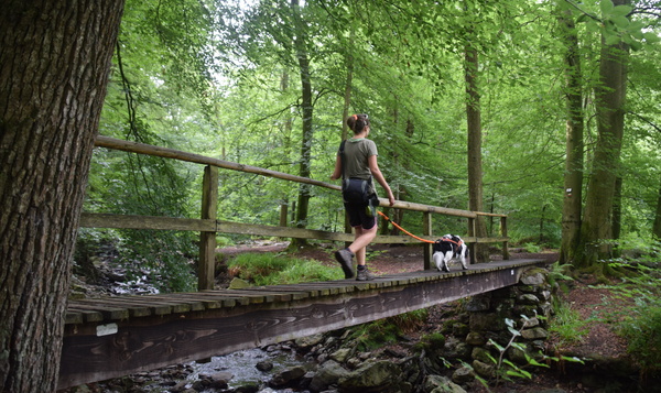 GPS-wandeling met bergriviertjes