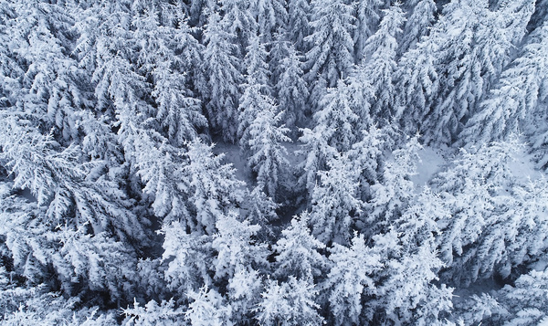 Vlieg mee boven besneeuwde Ardennen