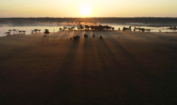 De Kalmthoutse Heide zoals je ze nog nooit gezien hebt