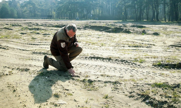 In het spoor van de wolf