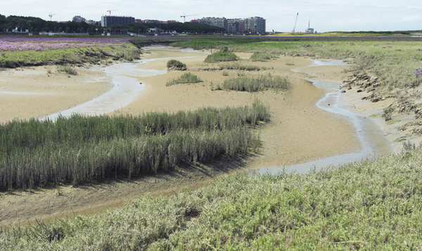 Tankstation voor trekvogels