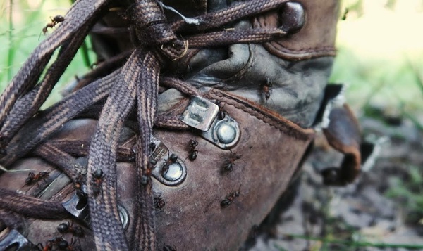 Als het kriebelt, moet je…