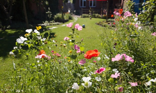 5 lentetips voor een gezonde tuin