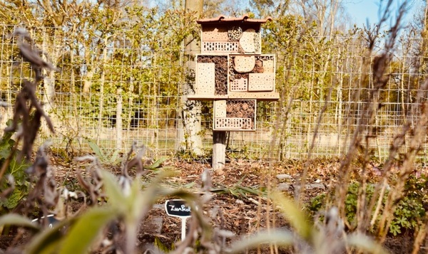 Maak je eigen insectenhotel