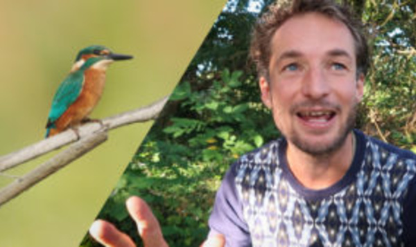 Pim’s 5 favoriete kleuren uit de natuur