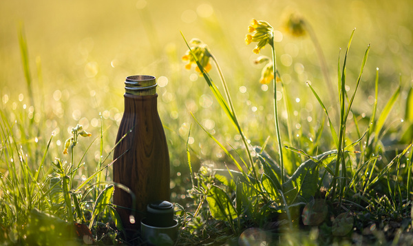 Plasticvrij de natuur in met deze 5 tips