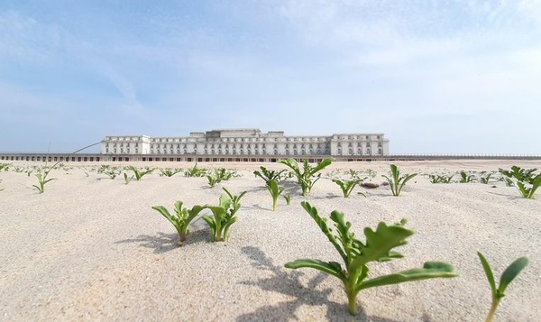 Welke impact heeft corona op onze natuur?