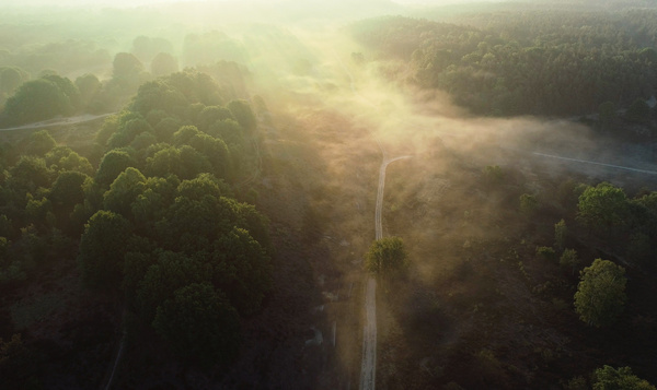 Machtige zonsopkomst in het nationaal park Hoge Kempen