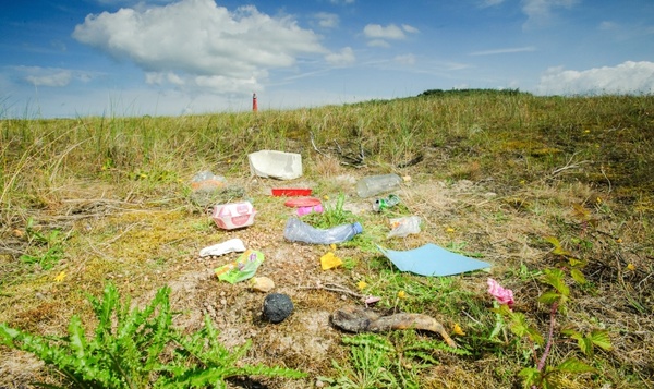 Een lekker stukje afval? Dit is het effect van zwerfvuil op onze dieren