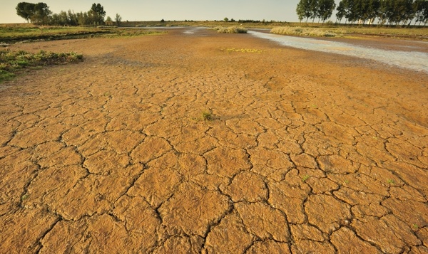 Droog, droger, droogst: verandert België stilaan in een woestijn?