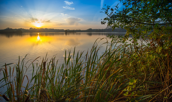 Verfrissing gezocht? Ontdek 9 openlucht zwemzones in het groen