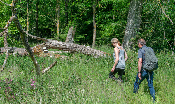 Avontuurlijk wandelen in de Zwalmvallei