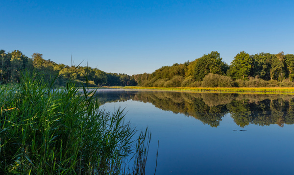 Hoe beleefde onze natuur de zomervakantie in tijden van corona?