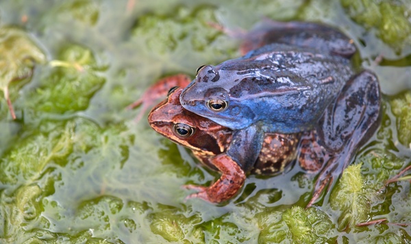 Superpower sunday: Van kleur veranderen