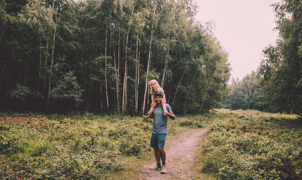 Verfrissende betovering in het afwisselende Drongengoedbos (Aalter)