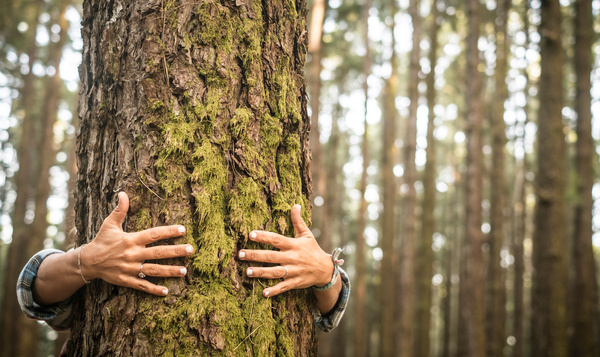 Vijf cadeaus voor natuurliefhebbers