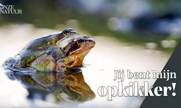 Complimenten uit onze natuur