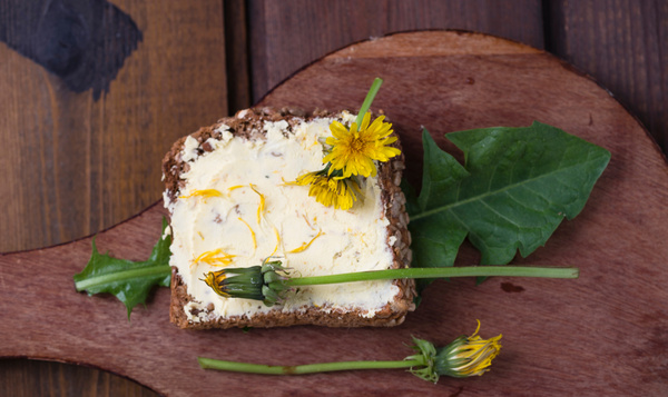 Florachallenge #1: pluk eetbaar onkruid en maak er iets lekkers mee