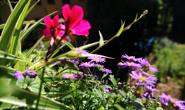 Alle kleuren van de regenboog