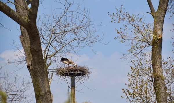 Uitgetest: RouteYou-wandeling in Zwinduinen en -polders