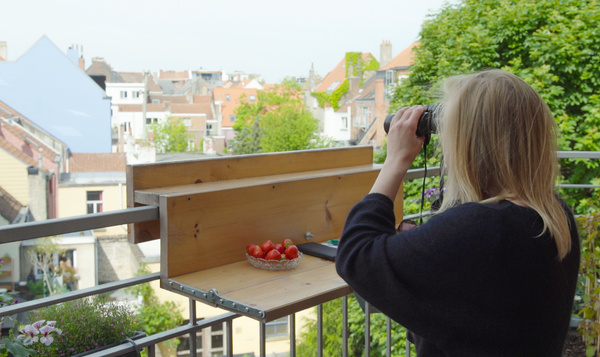 Vogelspotten vanaf een balkon: check!