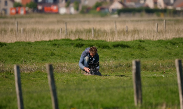 Dagboek van Pim: Grutto's in actie