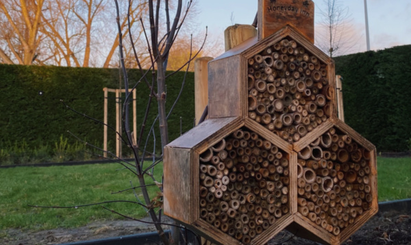 Reddingsactie #4: Maak een schuilplaats voor insecten