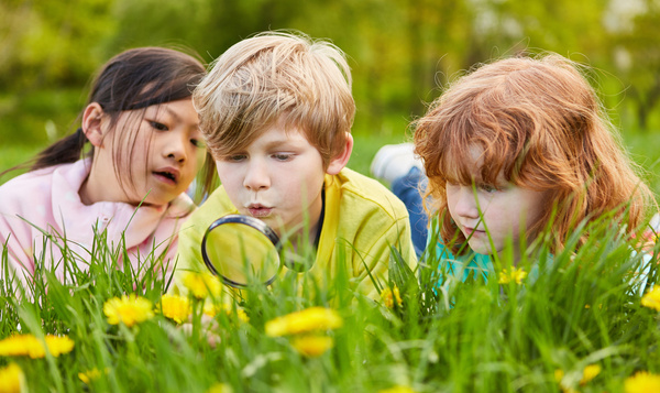 20 leuke zomeractiviteiten met kinderen in onze natuur