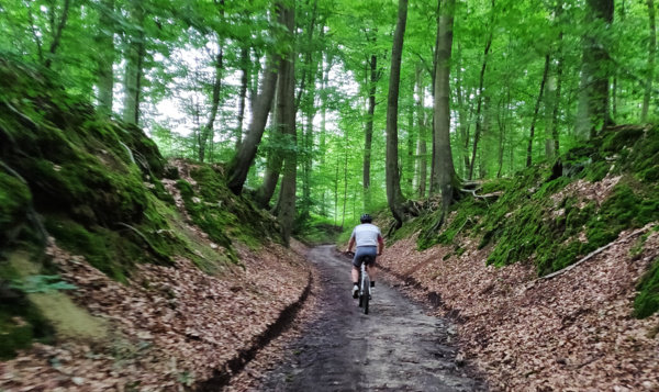 Uitgetest: Avontuurlijk mountainbiken (ook voor beginners)