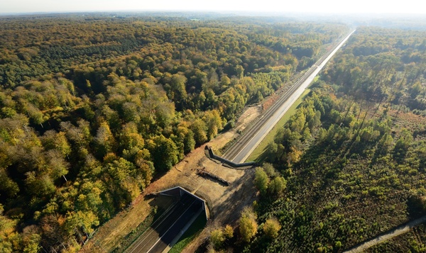 Wegenwerken voor dieren