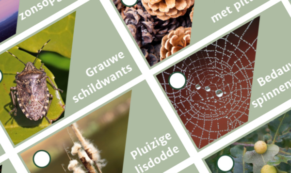 Doe de Onze Natuur-herfstbingo!
