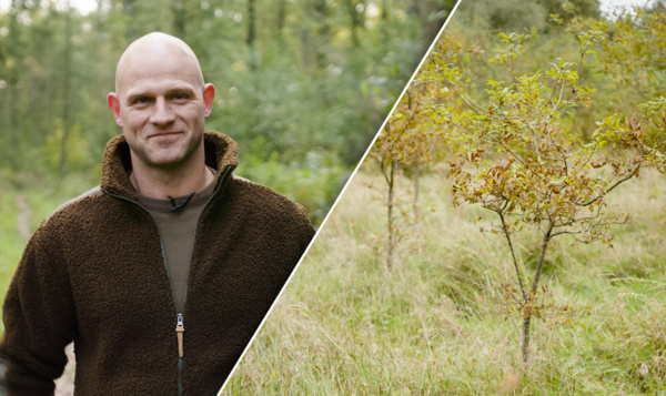 Maarten ziet door de bomen het bos