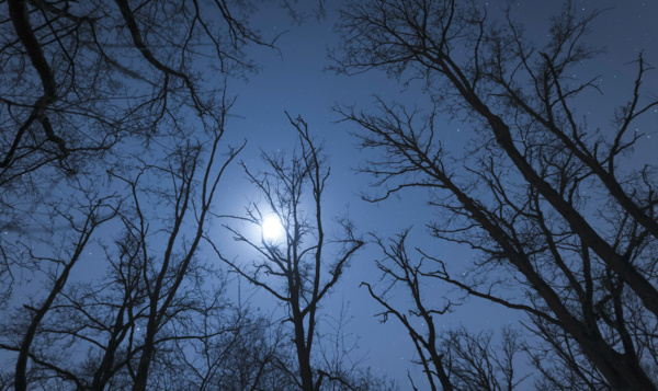 Onze Natuur wenst jullie een wild 2022!