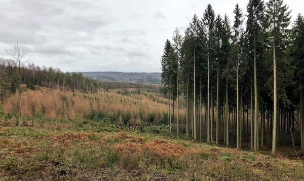 Uitgetest: Door het Preusbos naar het Drielandenpunt