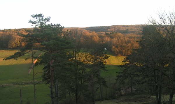 Zomertijd: da's een extra uur natuur!