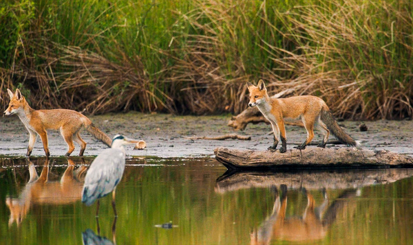 Op het nippertje ontsnapt