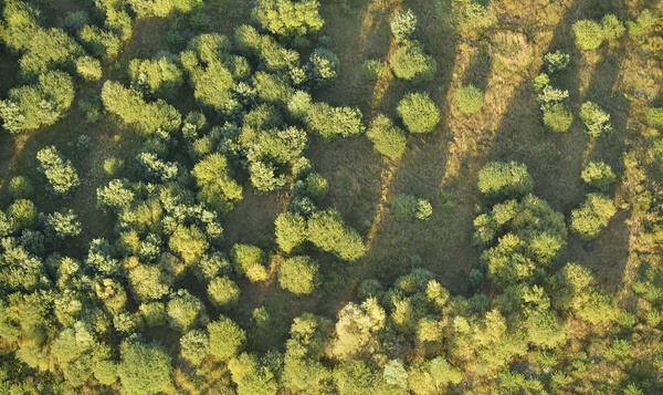 De 5 mooiste natuurgebieden in Limburg