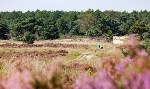 5 x op wandel in Vlaams Natura 2000-gebied